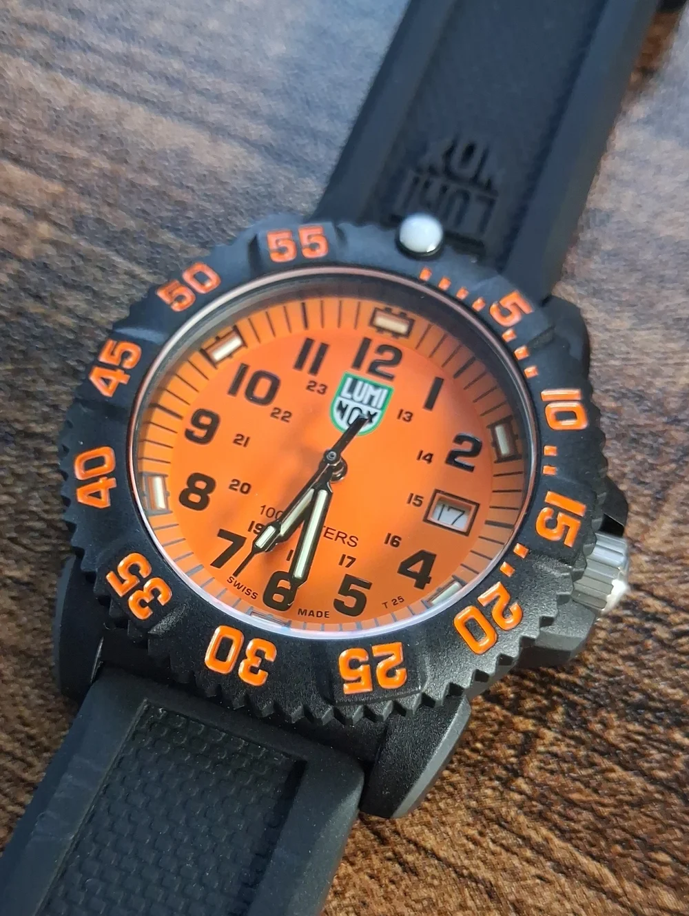Luminox sea lion